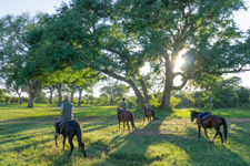 Zimbabwe-Victoria Falls-Zambezi Safari Getaway